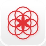 Clue Menstruatie Kalender