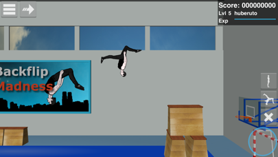 Backflip Madness Screenshot