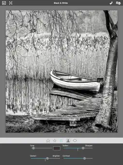Dramatic Black & White screenshot 8