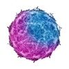 BlueNile Custom vBank Sim icon