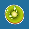 Natural food guide icon