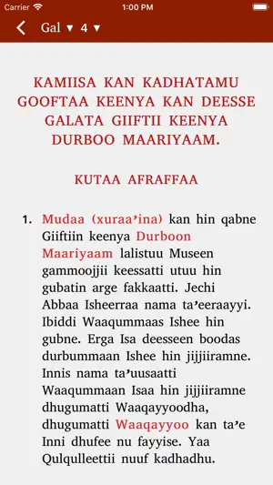 Mezgebe Tselot screenshot 3