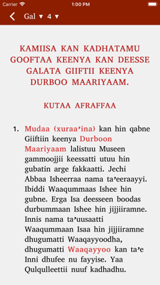 Mezgebe Tselot screenshot 3
