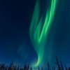 Step's Aurora Guide - Step's Aurora Guide DOO
