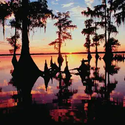Bayou Federal Credit Union app icon