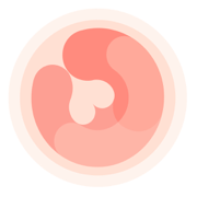 HiMommy - Pregnancy + Baby App