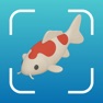 Get Fish Identifier: Finni for iOS, iPhone, iPad Aso Report