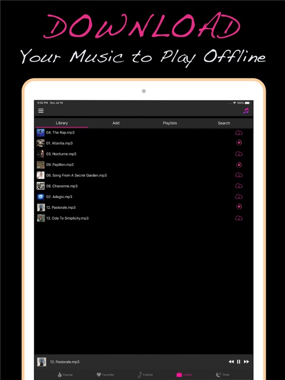 Screenshot #5 pour Musique Radio & Lecteur MP3