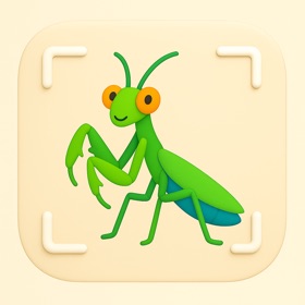 Bug Identifier :BuddyInsect