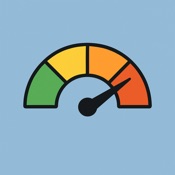 AI Usage