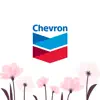 Product details of Chevron
