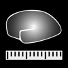CABPad Neuropsychological Test - Cognisoft ApS