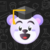 Solver AI & Homework Helper