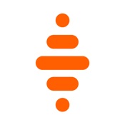 Nickel - The account for all