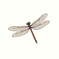 蜻蜓扫描仪