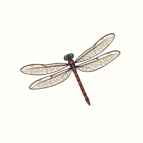 蜻蜓扫描仪