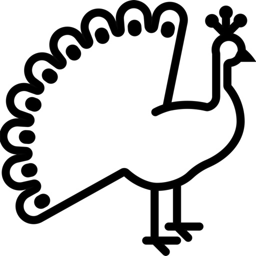 Picko: Movie, TV & Book Picks