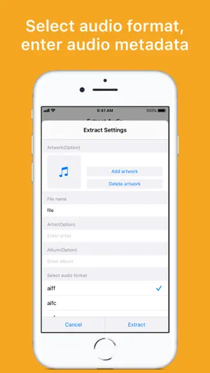 Export Audio screenshot 3