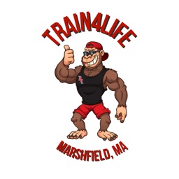 T4L