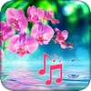 Stay Calm - Relaxing Melodies icon