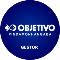 Gestor Objetivo Pinda