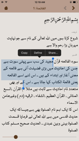 The Noble Quran screenshot