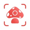 Picture Mushroom - 1秒キノコ図鑑 - iPhoneアプリ