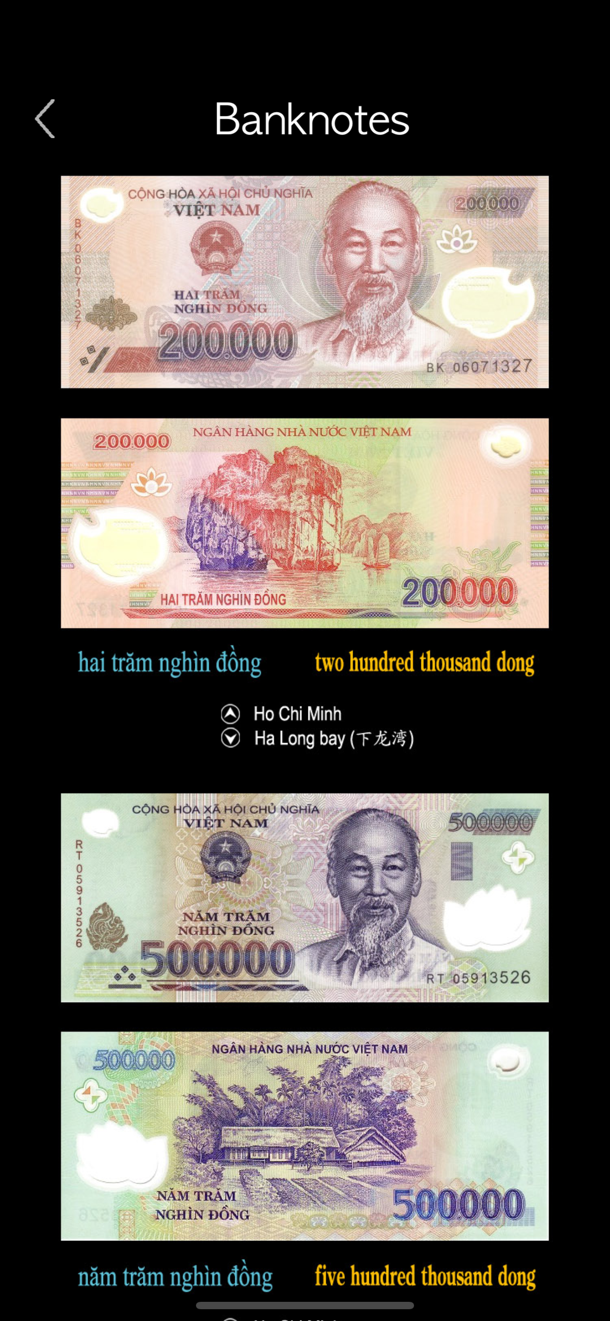 Vietnamese Alphabet & Words screenshot 9