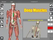 3D Anatomy ipad bilder 1