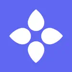 Bloom - Secure Identity App Positive Reviews