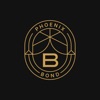 Bond - Phoenix icon