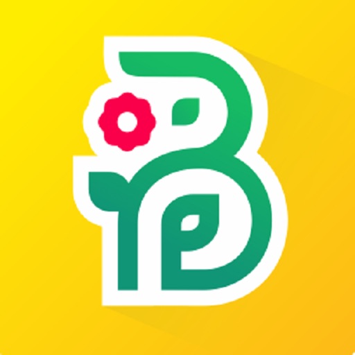 Buchet - цветы и подарки