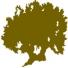 DOBaena icon