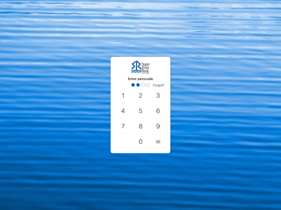 Screenshot #5 pour Sugar River Bank