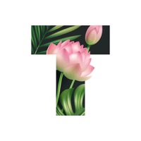 Text: 사진에 텍스트. 텍스트 및 사진 편집