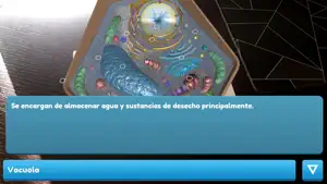 CellulAR screenshot 2