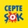 Cepte Şok