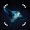 Stingrays Identifier is a smart and user-friendly app that helps you instantly identify different stingray species using just a photo