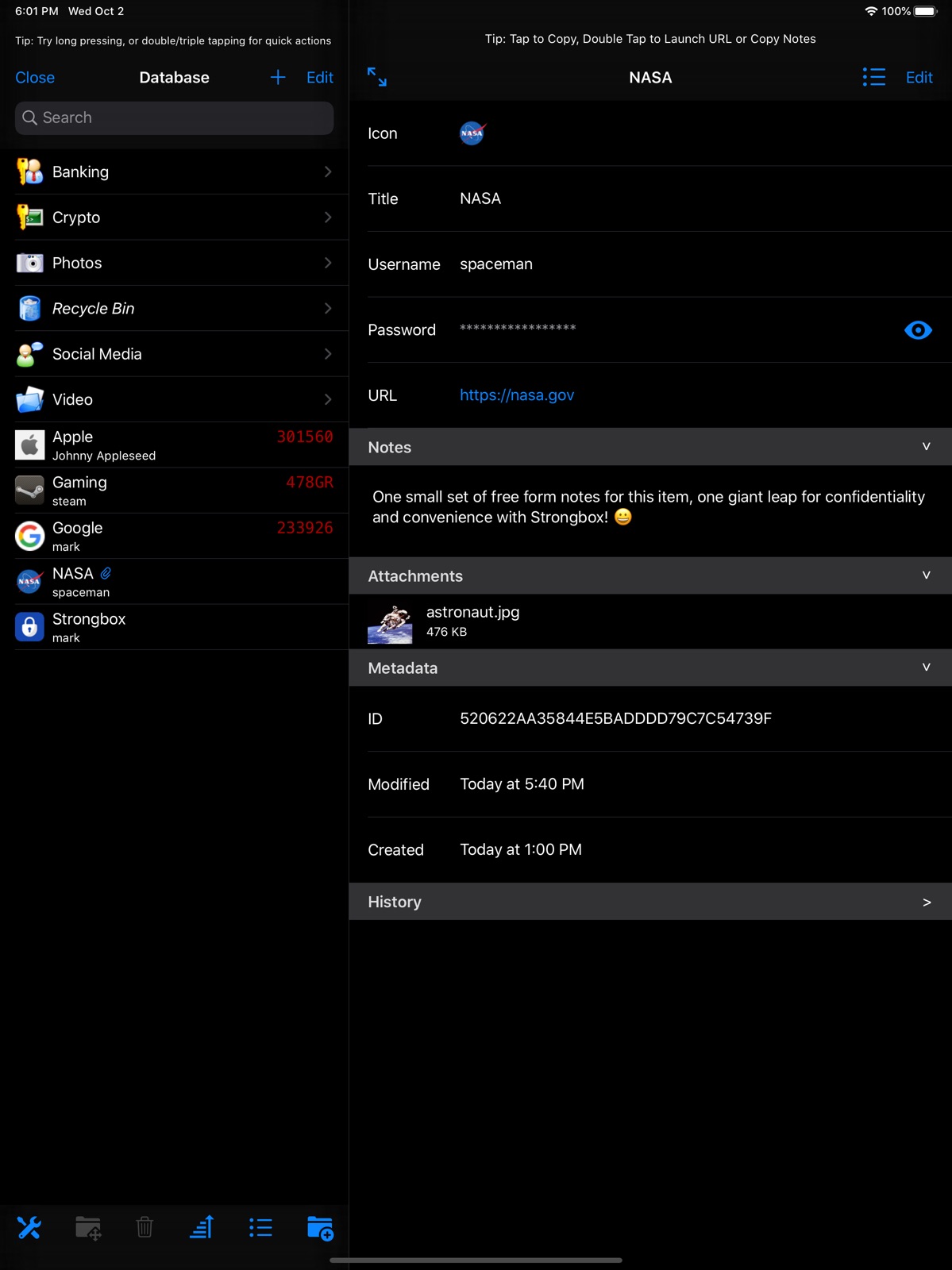 Strongbox Pro ipad screenshot 1