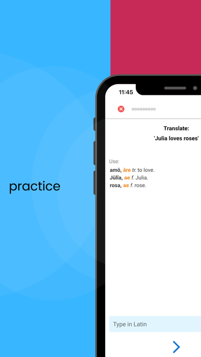 Screenshot #2 pour Cattus Learn Latin