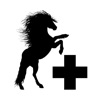 Horses+ icon