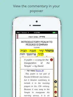 ArtScroll Smart Siddur סדור iPad image 4