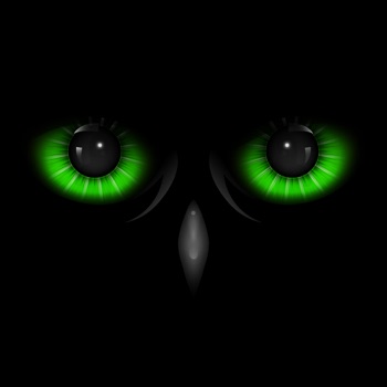 Night Eyes - Nachtzicht camera