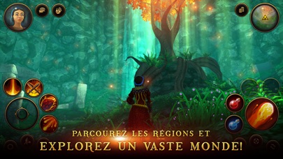 Screenshot #1 pour Villagers & Heroes