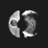 UCLArtSci icon