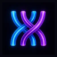 NetFlow X