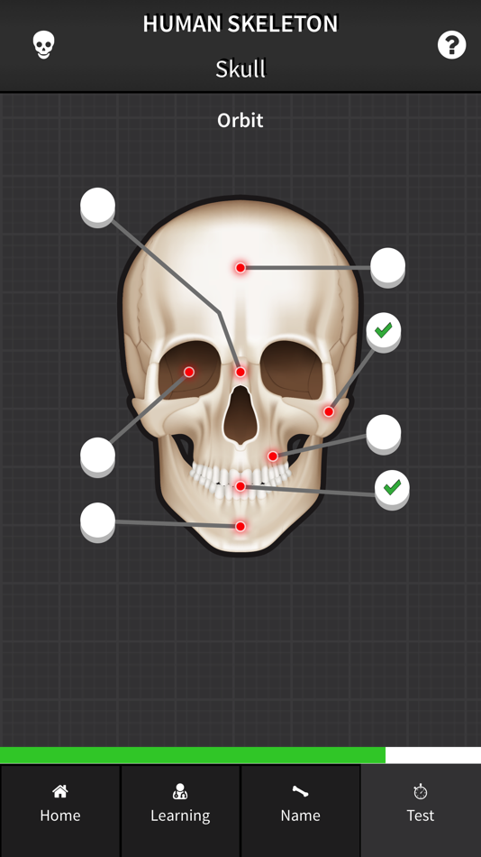 #4. Human Skeleton: Beginner Bones (iOS) 由: Unit11