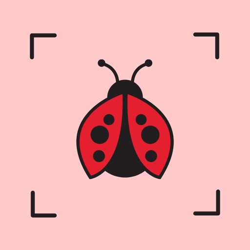 Insect AI - Identify Insects