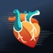 Healthye: heart health monitor