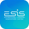 ESIS' icon